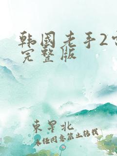 韩国老手2电影完整版
