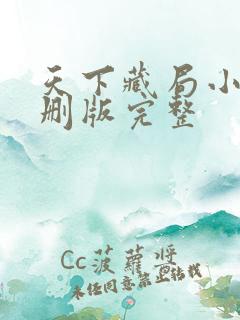 天下藏局小说未删版完整