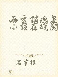 两处销魂是今生小说在线阅读