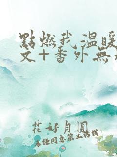 点燃我温暖你全文+番外无删减