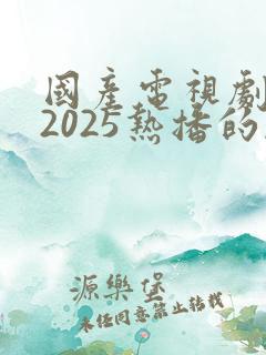国产电视剧推荐2025热播的剧