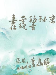 妻子的秘密往事在线看