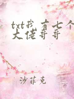 txt我有七个大佬哥哥