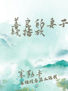 善良的妻子 在线播放