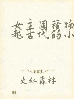 女主囤积物资穿越古代的小说