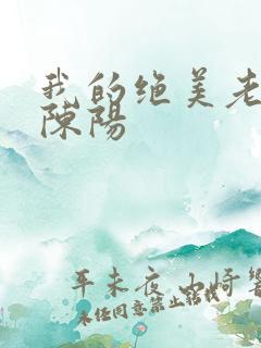 我的绝美老板娘陈阳
