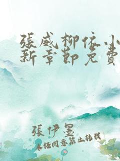 张威柳依小说更新章节免费阅读下载