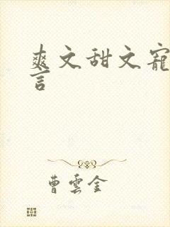 爽文甜文宠文现言