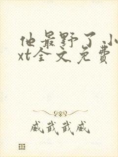 他最野了小说txt全文免费