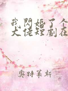 我闪婚了个财阀大佬短剧在线观看