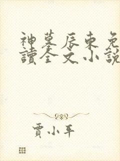 神墓辰东免费阅读全文小说