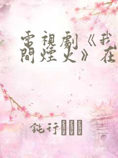 电视剧《我的人间烟火》在哪里看