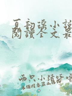 夏韵瑶小说免费阅读全文最新章节