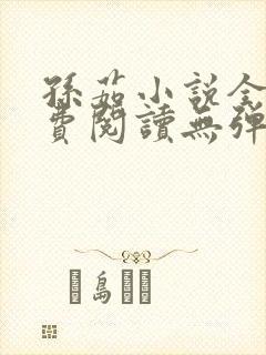 孙茹小说全文免费阅读无弹窗