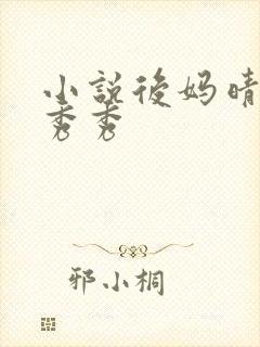 小说后妈晴姨李秀秀