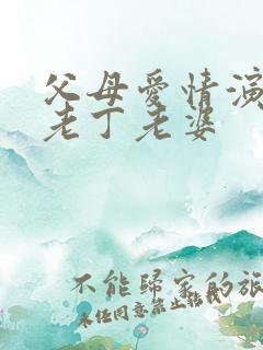 父母爱情演员表老丁老婆