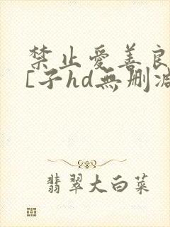 禁止爱善良的小[子hd无删减播放