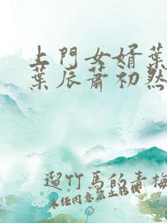 上门女婿叶辰 叶辰萧初然531