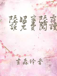 陆昭宁陆霆骁小说免费阅读最新章节