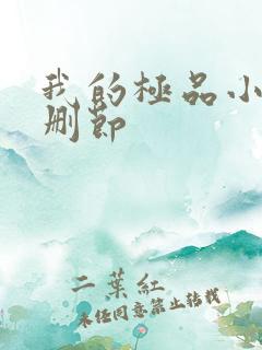 我的极品小姨无删节