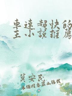 车速超快的双男主小说推荐