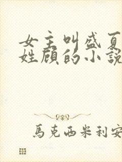 女主叫盛夏男主姓顾的小说