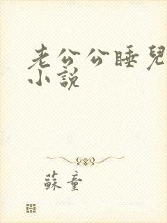 老公公睡儿媳妇小说