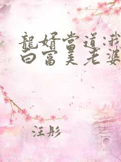 龙婿当道:我的白富美老婆txt下载全本