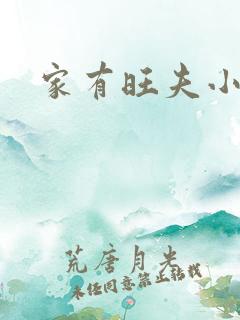 家有旺夫小福妻