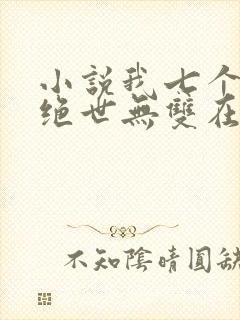小说我七个姐姐绝世无双在线阅读