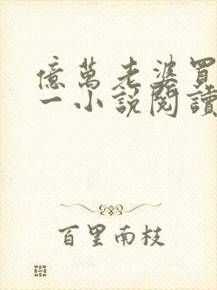 亿万老婆买一送一小说阅读