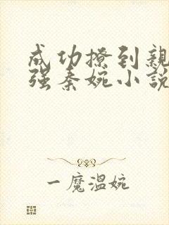 成功撩到亲妈王强秦婉小说笔趣阁