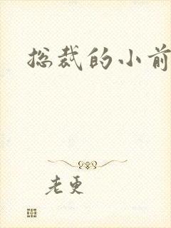 总裁的小前妻