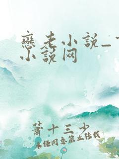 恋老小说_言情小说网