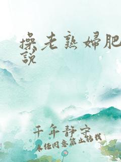 操老熟妇肥b小说