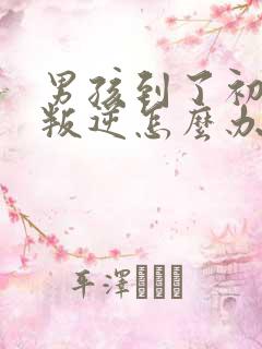 男孩到了初中很叛逆怎么办