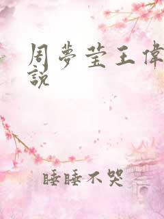 周梦莹王伟忠小说