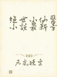 绝世小仙医张冬小说最新章节