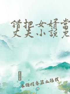 错把女婿当成了丈夫小说免费阅读