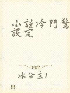 小说冷门惊艳的设定