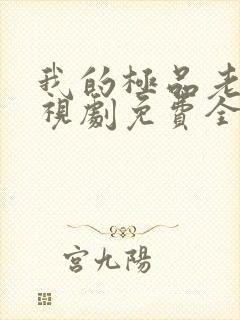 我的极品老婆电视剧免费全集