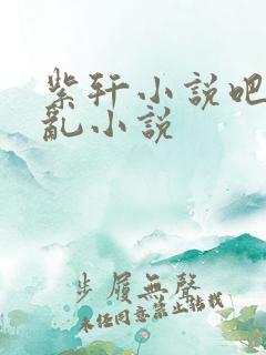 紫轩小说吧母子乱小说