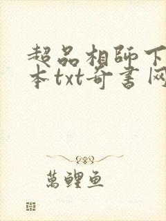 超品相师下载全本txt奇书网