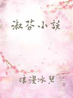 淑芬小说