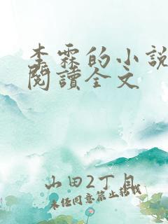 李霖的小说免费阅读全文