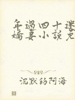 年过四十迷上小娇妻小说免费阅读