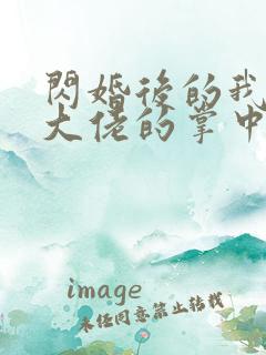 闪婚后的我成了大佬的掌中之物