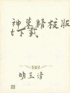 神墓精校版txt下载