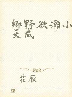 乡野欲潮小说林天成