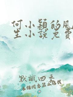 何小颖的风流人生小说免费阅读